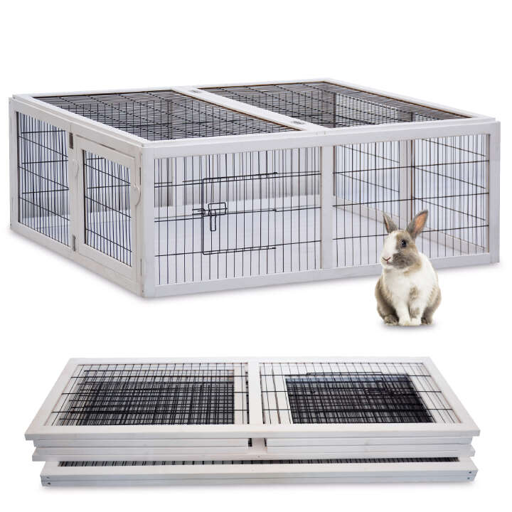 zooprinz Auslauf RUN